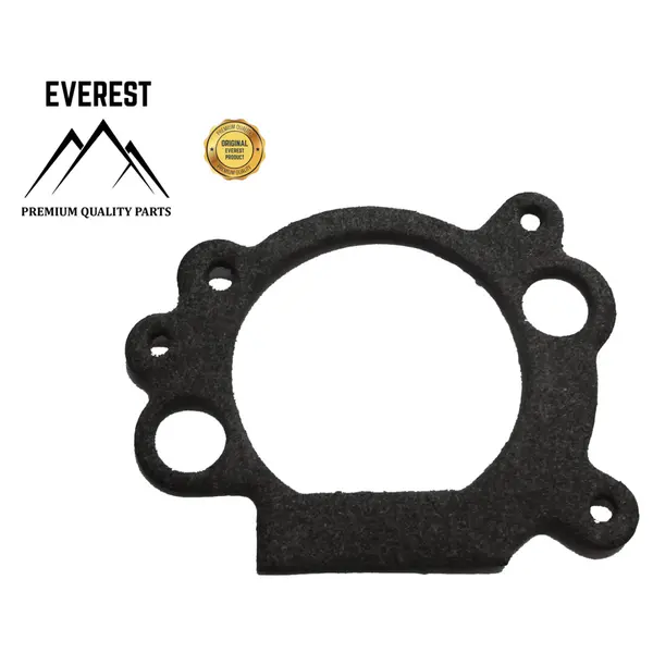 Garnitura Carburator (Aer) Briggs&stratton Ohv Everest