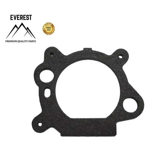 Garnitura Carburator (Aer) Briggs&stratton Quantum Everest