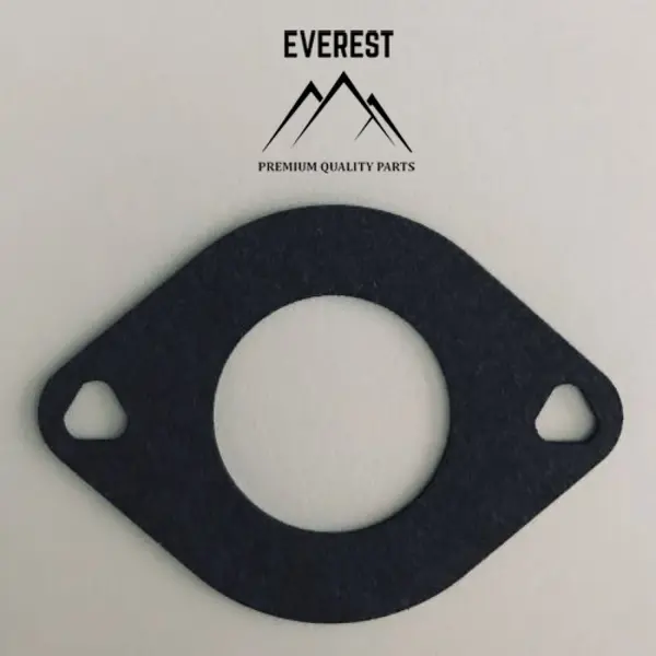 Garnitura Carburator Briggs&stratton 692137 Everest