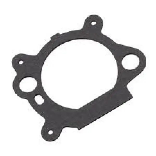 Garnitura Carburator Briggs-Stratton Quantum