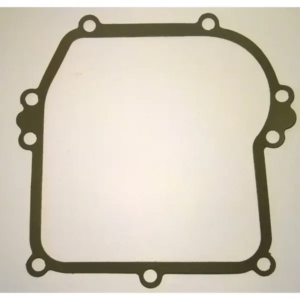 Garnitura Carter Briggs&stratton Seria 450 500 550 Ohv
