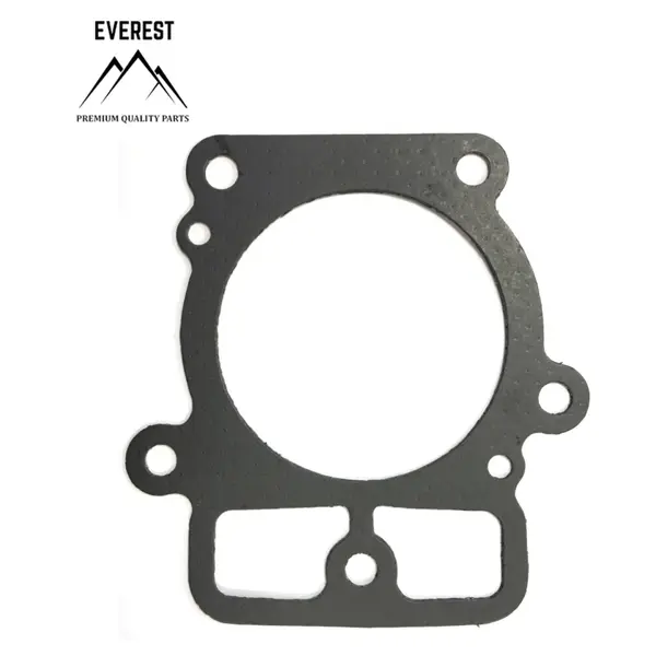 Garnitura Chiuloasa Briggs&stratton 2 Cylindru 20km-26km Everest