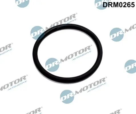 Garnitura, conducta supapa-AGR Dr.Motor Automotive DRM0265