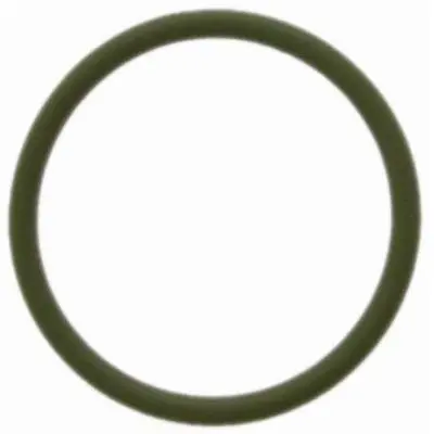 Garnitura, conducta supapa-AGR FEBEST RINGAH-B5