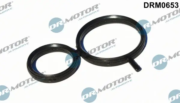 Garnitură de etanșare, reglarea arborelui cu came Dr.Motor Automotive DRM0653