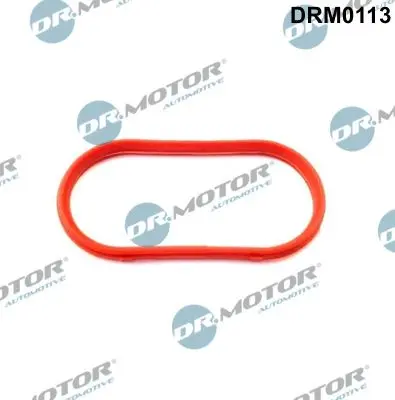 Garnitura, galerie admisie Dr.Motor Automotive DRM0113