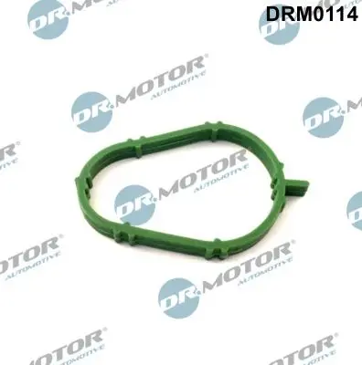 Garnitura, galerie admisie Dr.Motor Automotive DRM0114
