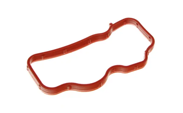 Garnitura, galerie admisie MAXGEAR 70-0455