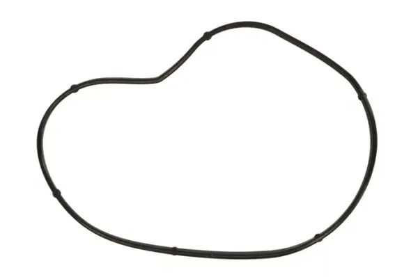 Garnitura pompa apa potrivit BMW 5 (E60), 5 (E61), 6 (E63), 6 (E64), 7 (E65, E66, E67), 7 (F01, F02, F03, F04), X5 (E53), X5 (E70); ROLLS-ROYCE DAWN, GHOST I, PHANTOM VII 3.6-6.75 07.01-