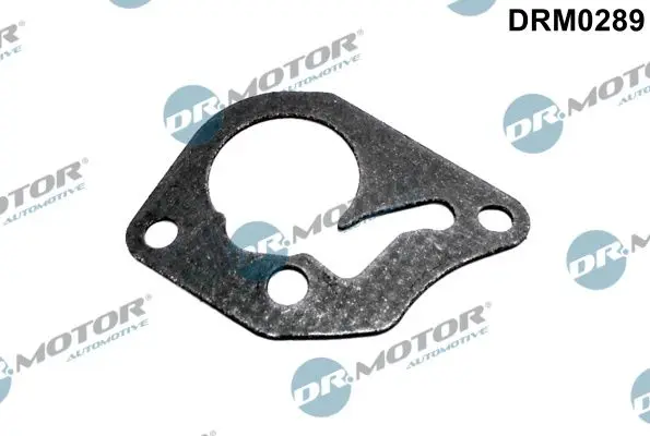 Garnitura, pompa vacuum Dr.Motor Automotive DRM0289
