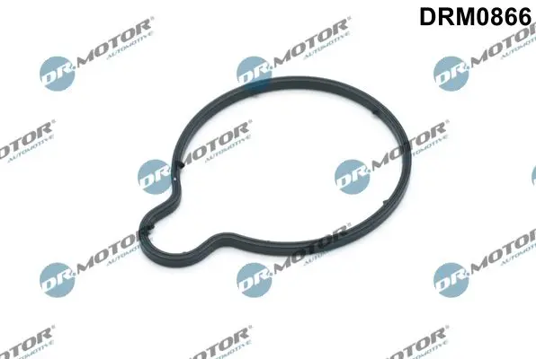 Garnitura, pompa vacuum Dr.Motor Automotive DRM0866