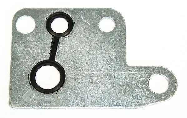 Garnitura, pompa vacuum ELRING 251.080