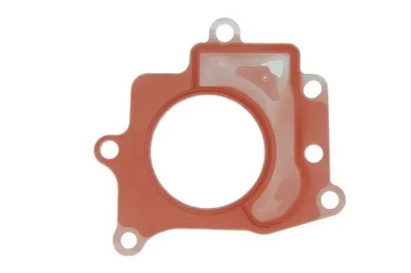 Garnitura supapa EGR ALFA ROMEO GIULIETTA; CHRYSLER DELTA; FIAT BRAVO II, DOBLO, DUCATO, FREEMONT; LANCIA DELTA III; OPEL COMBO 1.6D 1.9D 2.0D dupa 2007