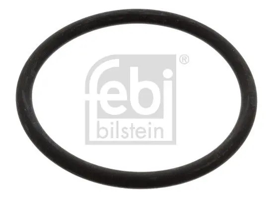 Garnitura termostat FEBI BILSTEIN 17966