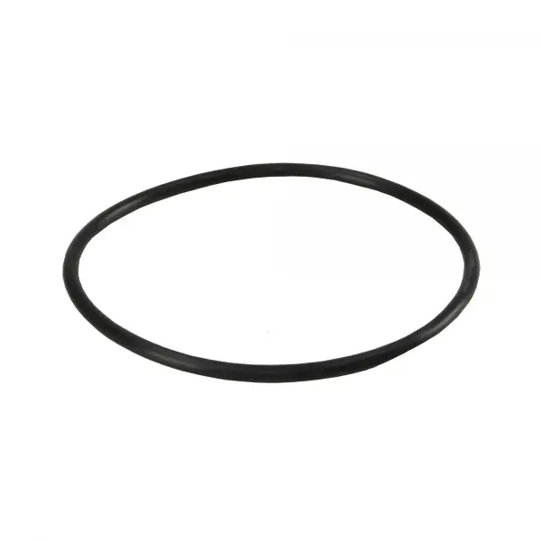 Garnitura tip Oring pentru carcasele filtrelor BigBlue