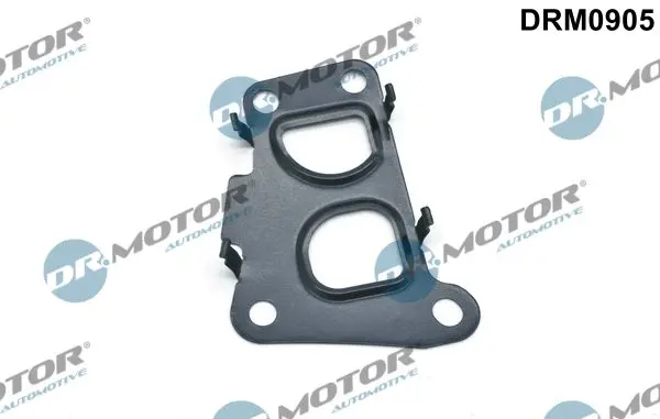 Garnitura, ventil AGR Dr.Motor Automotive DRM0905