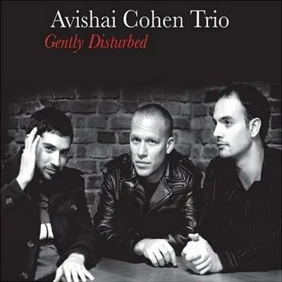 Gently Disturbed | Avishai Cohen
