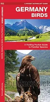 Germany Birds: A Folding Pocket Guide to Familiar Species, Paperback/James Kavanagh