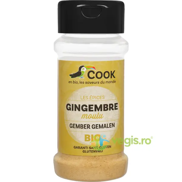 Ghimbir Macinat fara Gluten (Solnita) Ecologic/Bio 30g