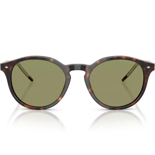 Giorgio Armani AR8211 587914 52