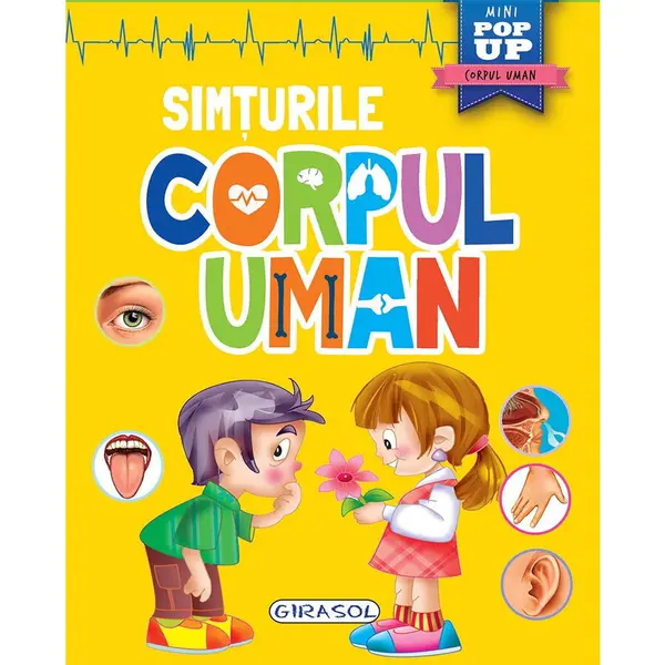 GIRASOL Carte educativa GIRASOL Corpul uman - Simturile, Mini pop-up, 10 pagini cartonate, 5 simturi