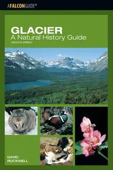 Glacier: A Natural History Guipb, Paperback/David Rockwell