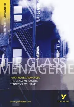 Glass Menagerie: York Notes Advanced, Paperback/Rebecca Warren