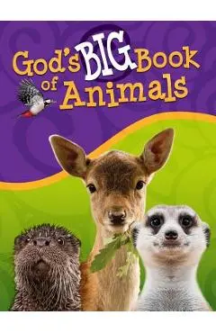 God's Big Book of Animals - Orit Kashtan