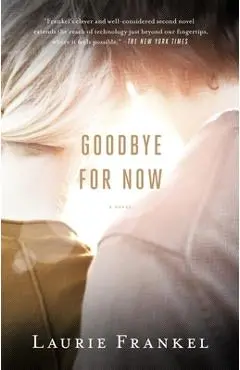 Goodbye for Now - Laurie Frankel