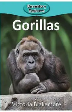 Gorillas - Victoria Blakemore