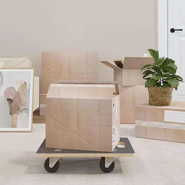 Gossi carucioare transport 2 buc dreptunghiulare 50x35x11,5 cm 250 kg
