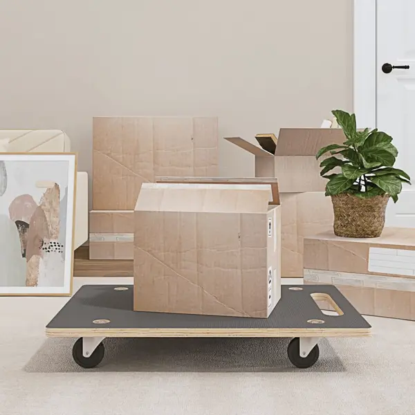 Gossi carucioare transport 2 buc dreptunghiulare 80x55x11,5 cm 250 kg