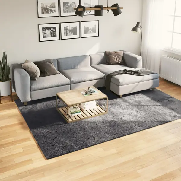 Gossi covor huarte, fir scurt, moale si lavabil, antracit, 200x280 cm