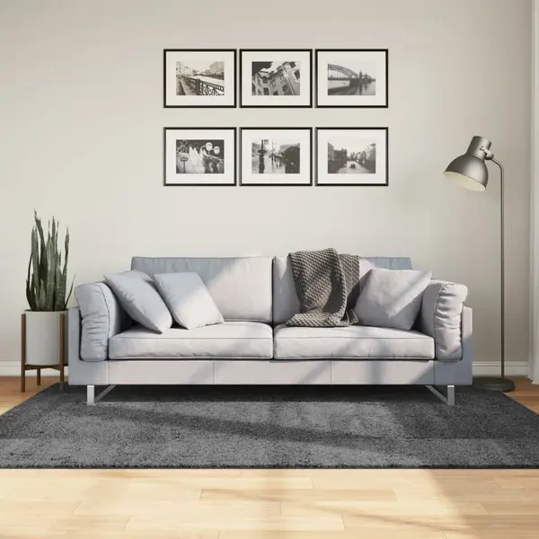Gossi covor „oviedo”, fire scurte, antracit, 140x200 cm