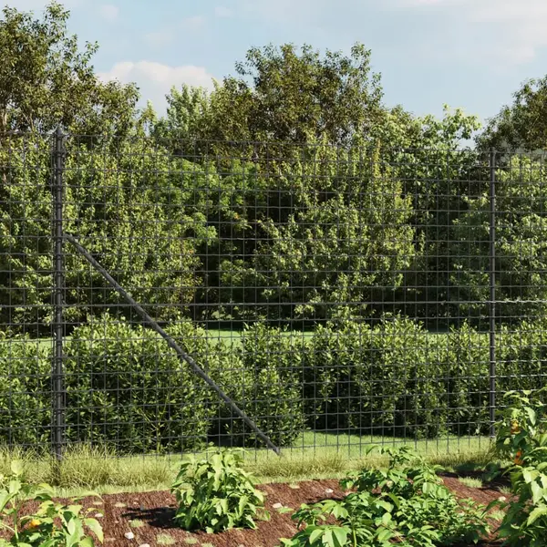 Gossi gard plasa de sarma, antracit, 2x25 m, otel galvanizat