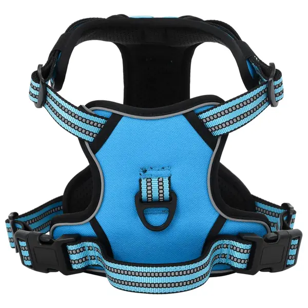 Gossi ham pentru caini cu plumb si guler, reglabil, albastru, xl