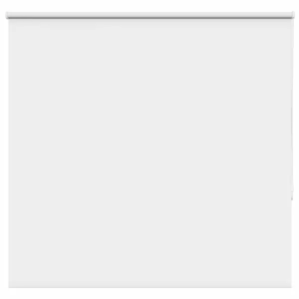 Gossi jaluza cu role opace alb 165x130 cm latime material 161,6 cm