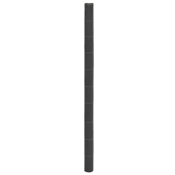 Gossi membrana antiburuieni, negru, 2x10 m, pp