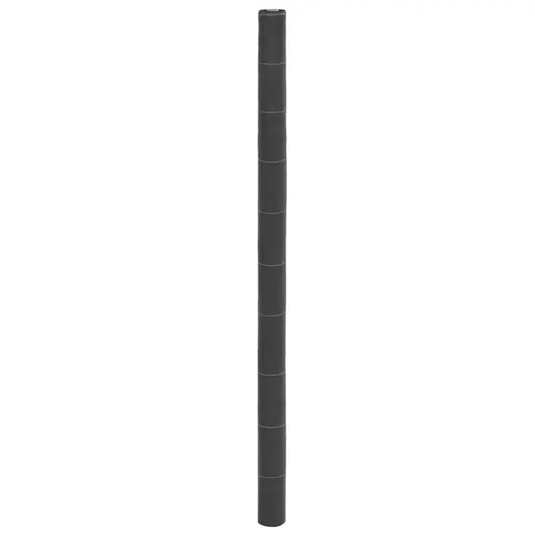 Gossi membrana antiburuieni, negru, 2x25 m, pp