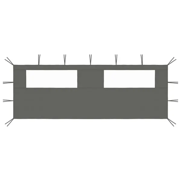 Gossi perete lateral foisor cu ferestre, 6x2 m, antracit