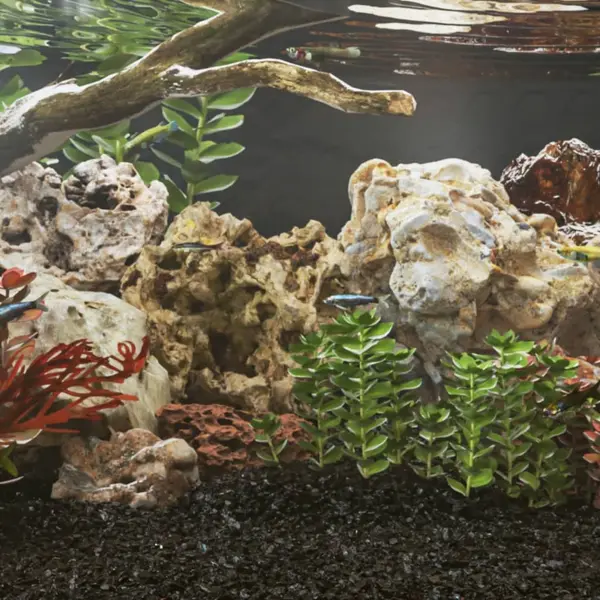 Gossi pietre dragon, 10 kg, culori mixte, 10-30 cm