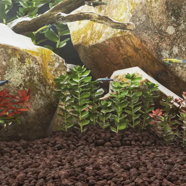 Gossi roci vulcanice, 10 kg, rosu, 3-5 cm