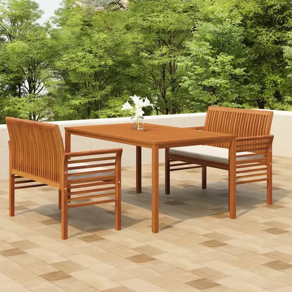 Gossi set mobilier de exterior cu perne, 3 piese, lemn masiv acacia