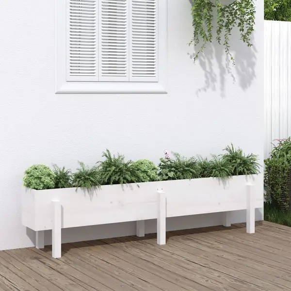 Gossi strat inaltat de gradina, alb, 160x30x38 cm, lemn masiv de pin