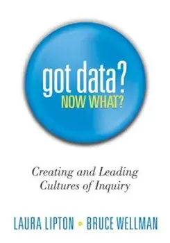 Got Data' Now What': Creating and Leading Cultures of Inquiry, Paperback/Laura Lipton