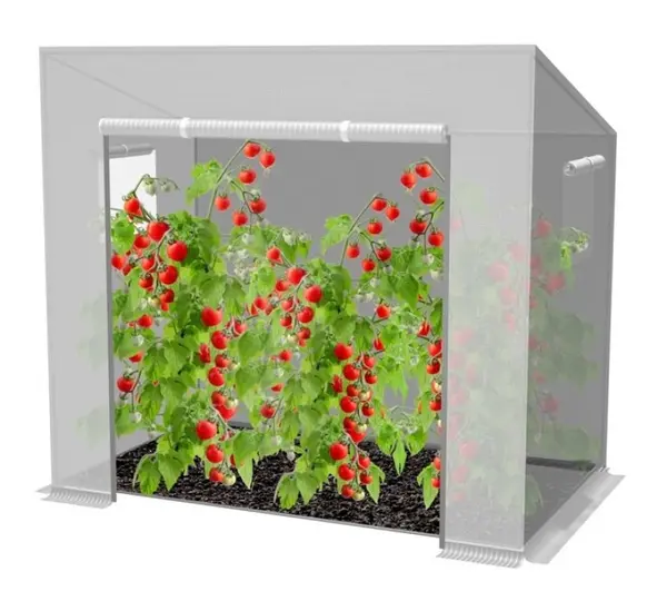 Gradina cu efect de sera, tunel de legume, folie de rosii, alb 200 x 77 x 168/146 cm