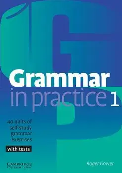 Grammar in Practice 1, Paperback/Roger Gower