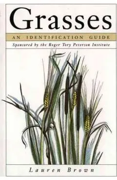 Grasses: An Identification Guide - Lauren Brown