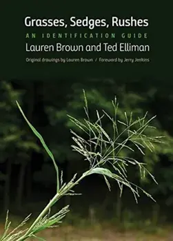 Grasses, Sedges, Rushes. An Identification Guide, Paperback/Ted Elliman