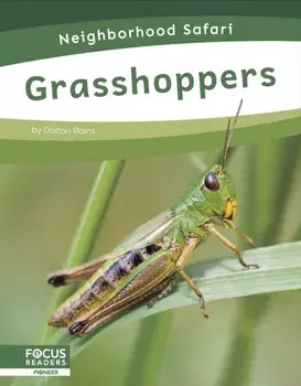 Grasshoppers, Paperback/Dalton Rains